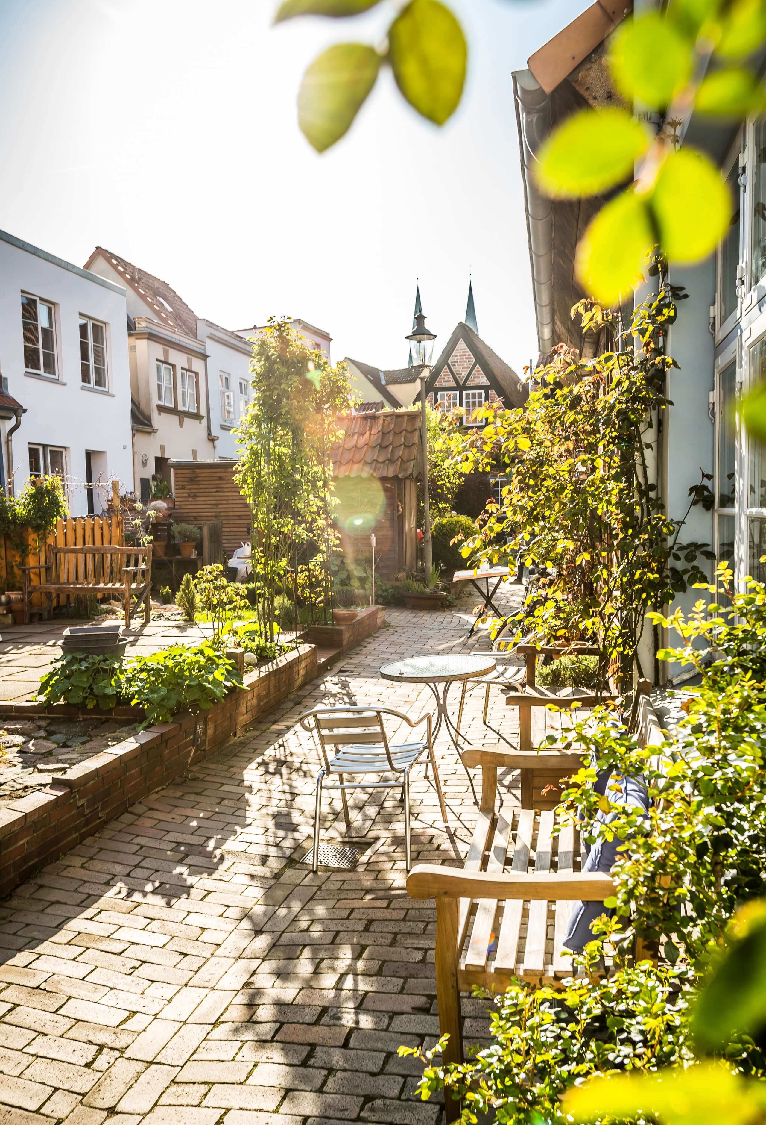 Blick in den sonnigen Rosengang