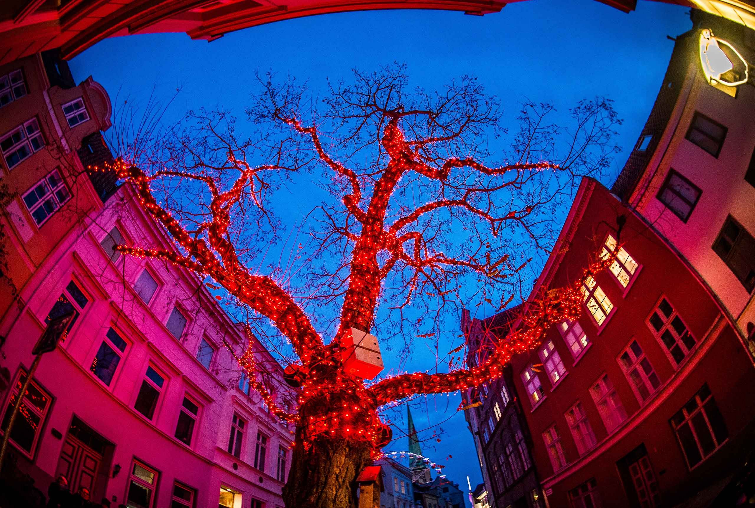 Baum mit roten Lichtern 
